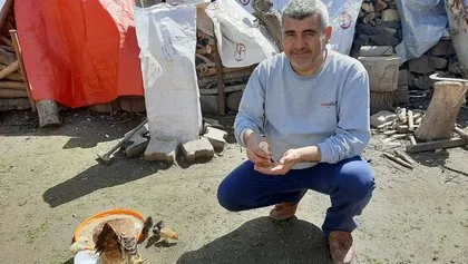 Yumurtadan çıkan civciv görenleri hayrete düşürdü! Neye uğradıklarını şaşırdılar