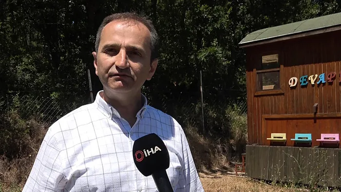 1720261547186.jpg Binlerce arının üzerine yatan, daha dinç kalkıyor! - 2
