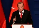 Yunanistandan Başkan Erdoğana övgü