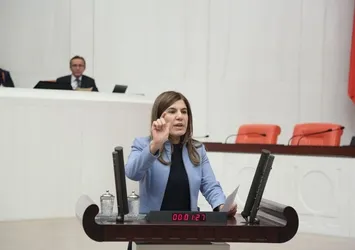 "CHP'nin açıklaması akla ziyan bakış açısı"