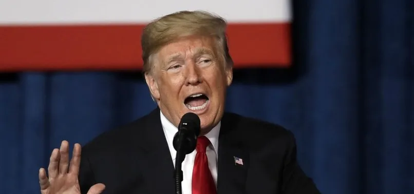 Trump DEAŞ'a 30 gün ömür biçti