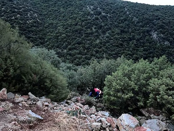 bodrumda-kan-donduran-vahset-carsafa-sarili-2-ceset-bulundu-1701253287797.jpeg Bodrum'da kan donduran vahşet! Çarşafa sarılı 2 ceset bulundu - 6