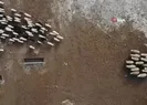Yürek ısıtan buluşma!