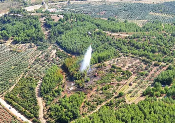 Manisa'da orman yangını kontrol altında