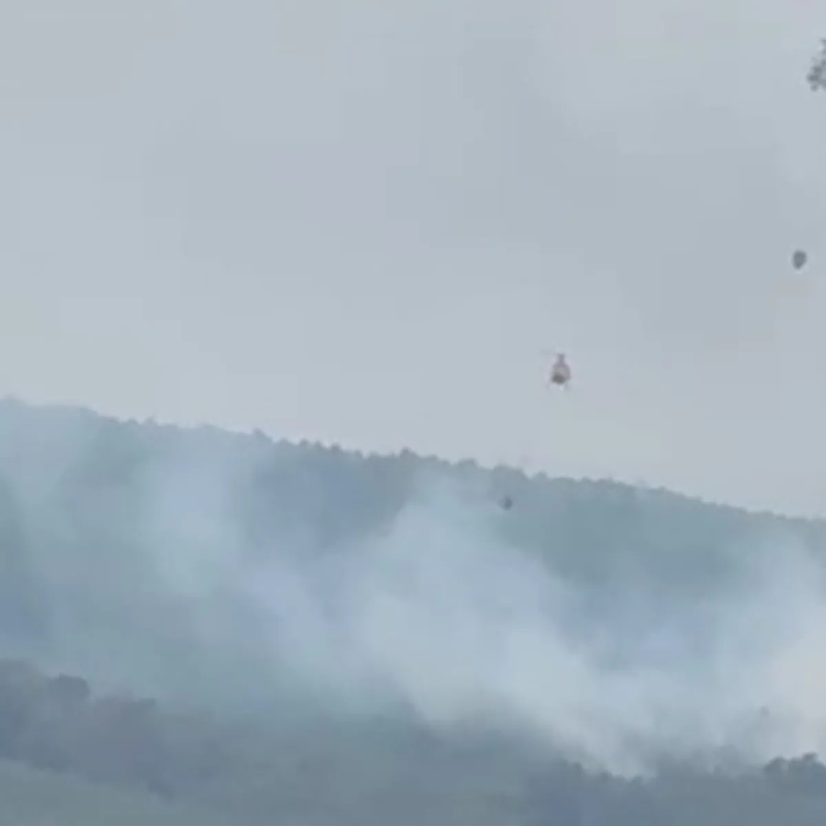 Arnavutköy Hacımaşlı'da orman yangını, helikopterlerle müdahale
