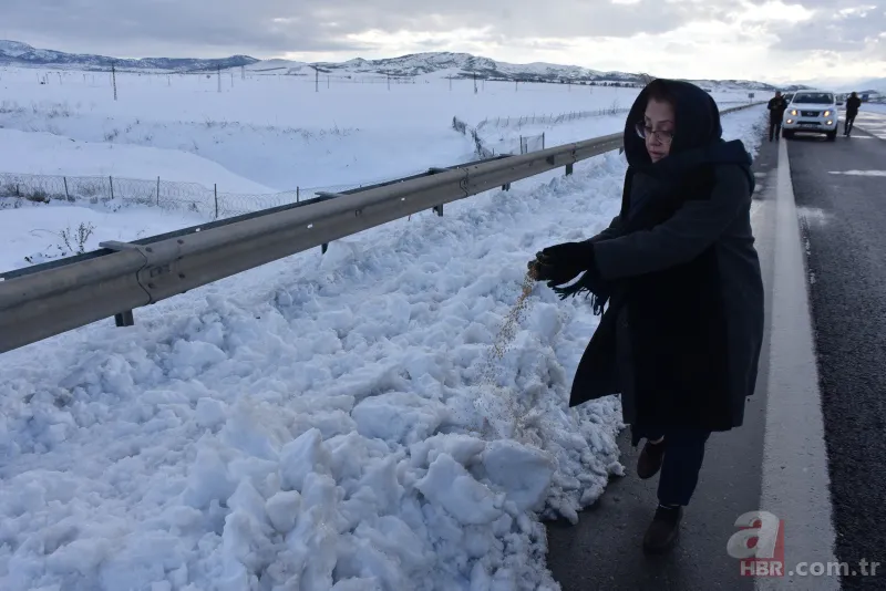 Gaziantep'te son durum nasıl? Yol temizleme çalışmalarından yeni görüntüler 4