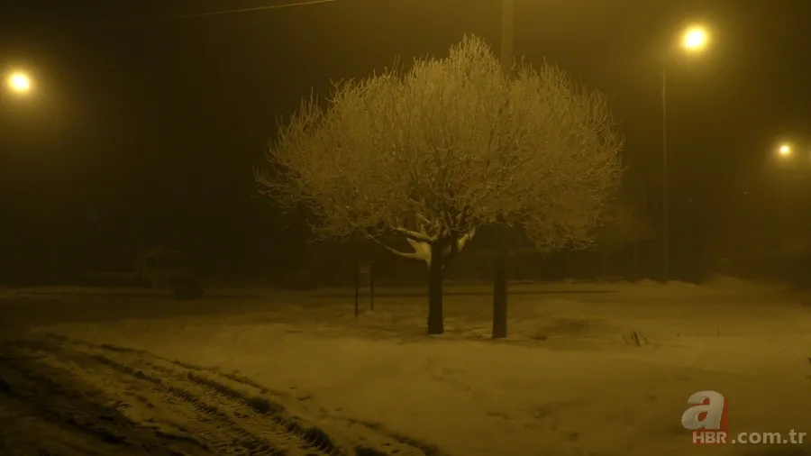 Ardahan Sibirya gibi! Kapı kilitleri bile buz tuttu 2