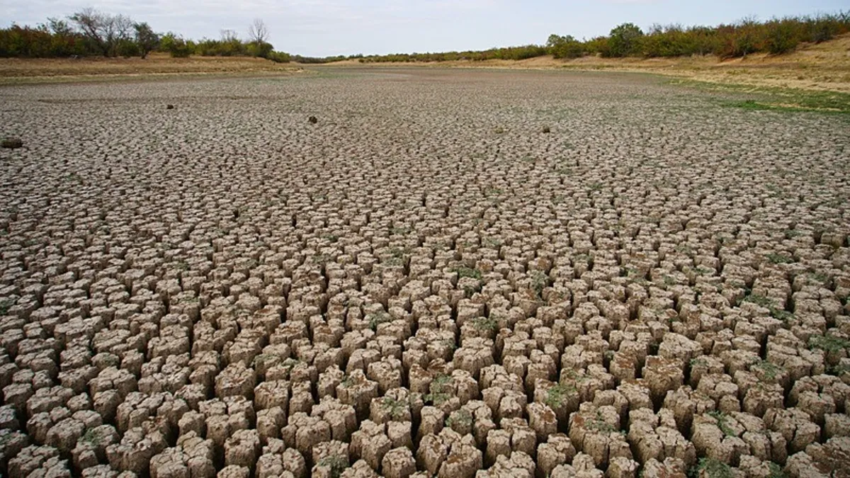Edirne'deki Şerbettar Göleti kuraklık nedeniyle tamamen kurudu