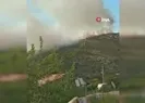 İzmir’de iki ayrı bölgede orman yangını çıktı