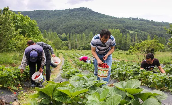 bakanliktan-orman-koylulerine-765-milyon-tl-destek-81-bin-kisiye-istihdam-kapisi-1644301041644.jpg Bakanlıktan orman köylülerine 765 milyon TL destek: 81 bin kişiye istihdam kapısı - 2