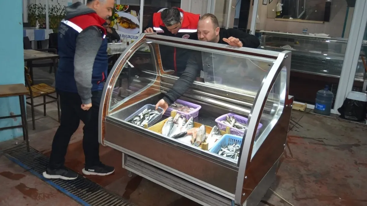 Buharkent'te balıkçılığa yönelik denetimler devam ediyor