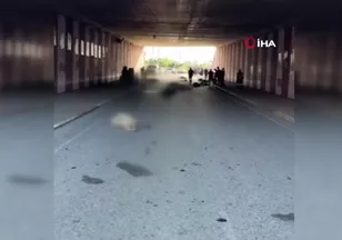 Otomobil sürüye daldı: 17 koyun telef oldu