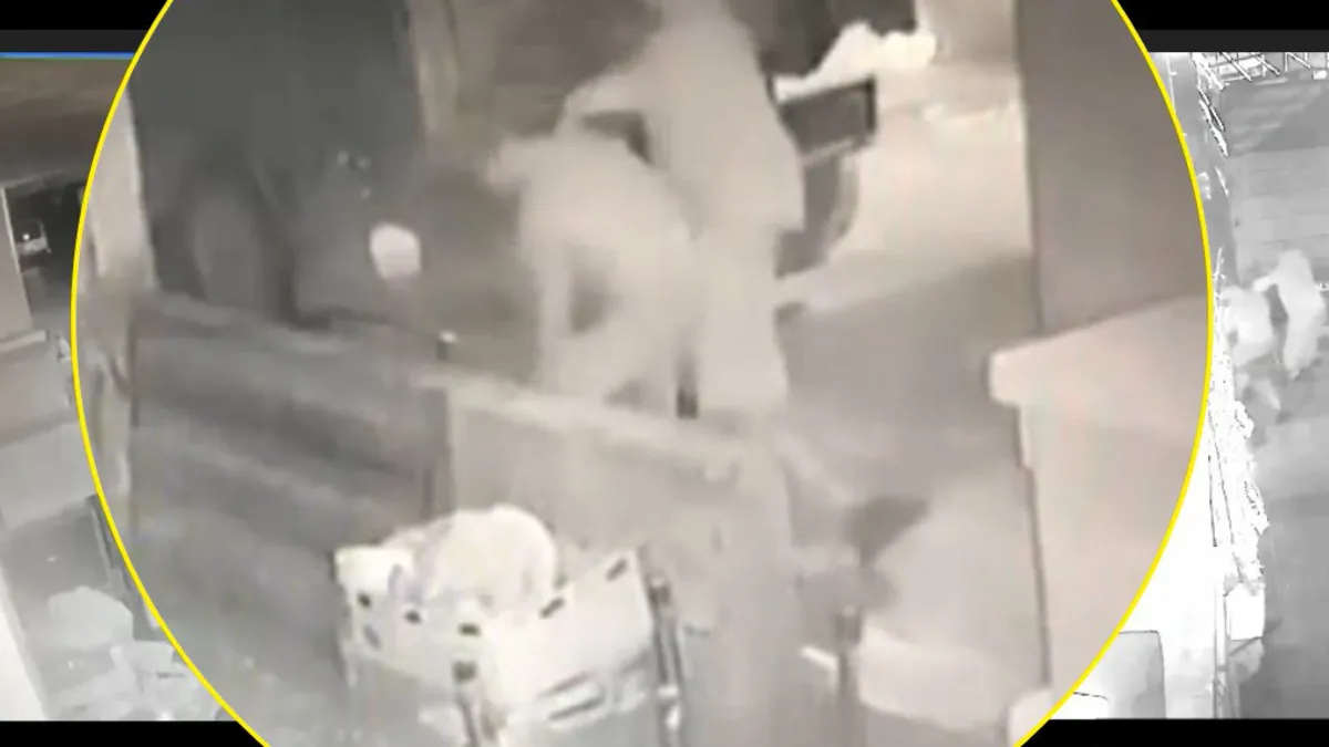 3 dakikada 3 cinayet! Kan donduran görüntüler ortaya çıktı