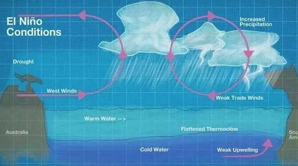 sicaklar-ne-zaman-bitecek-el-nino-sicaklari-ne-kadar-surecek-havalar-ne-zaman-serinleyecek-1689884519529.jpg El Nino sıcakları ne kadar sürecek? SICAKLAR NE ZAMAN BİTECEK? Havalar ne zaman serinleyecek? - 5