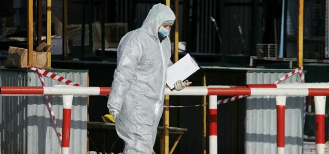 Fransa’da 151 çiftlikte kuş gribi alarmı