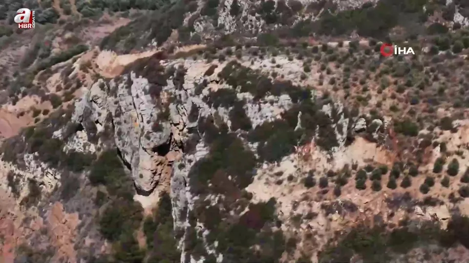 Hatay’da kaçak avcılara operasyon