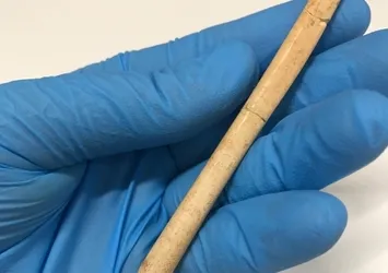 Dünyanın en eski kemik takısı bulundu