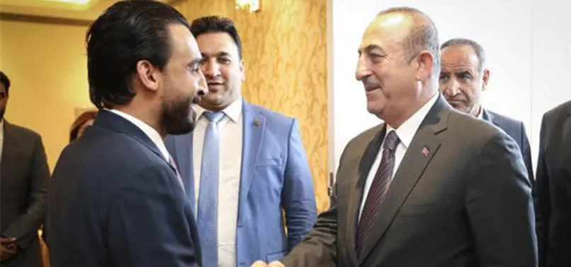 Bakan Çavuşoğlu Irak Meclis Başkanı'yla görüştü