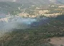Uşakta orman yangını