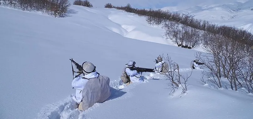 Terör örgütü PKK'nın sözde 'grup sorumlusu' öldürüldü