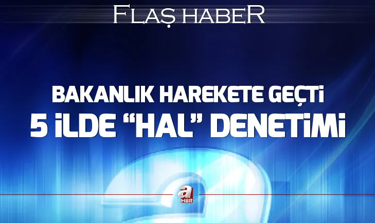 Ticaret Bakanlığından 5 ilde eş zamanlı hal denetimi