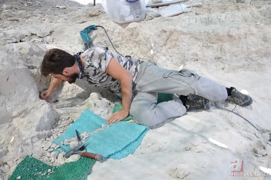 Kapadokya'da 9 milyon yıllık fosiller gün yüzüne çıkarılıyor 7