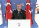 Başkan Erdoğan: Tarihimizin en kararlı adımlarını atıyoruz