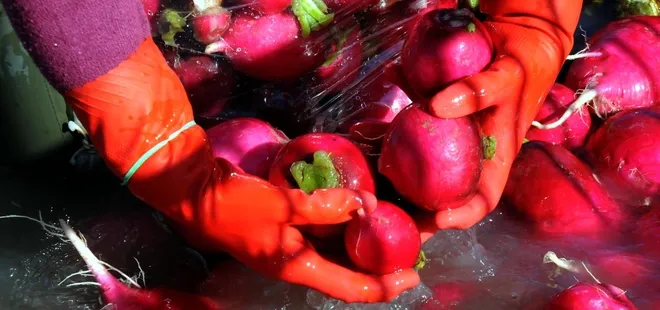 Bağışıklığı çelik gibi yapıyor! Kışın sofranızdan eksik etmeyin