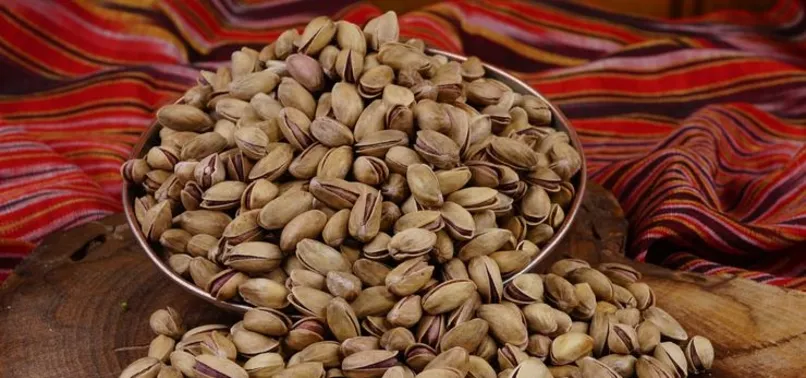 Antep fıstığında hastalık tehdidi