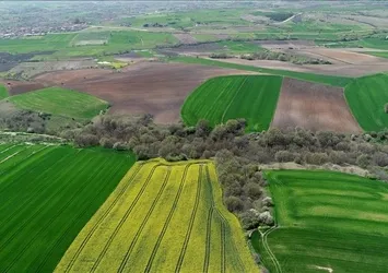 Yatırımda dengeler değişti! En çok talep o bölgelere