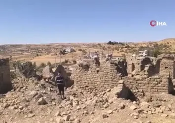 Siirt'te kayıp Alzheimer hastası 9 gündür aranıyor