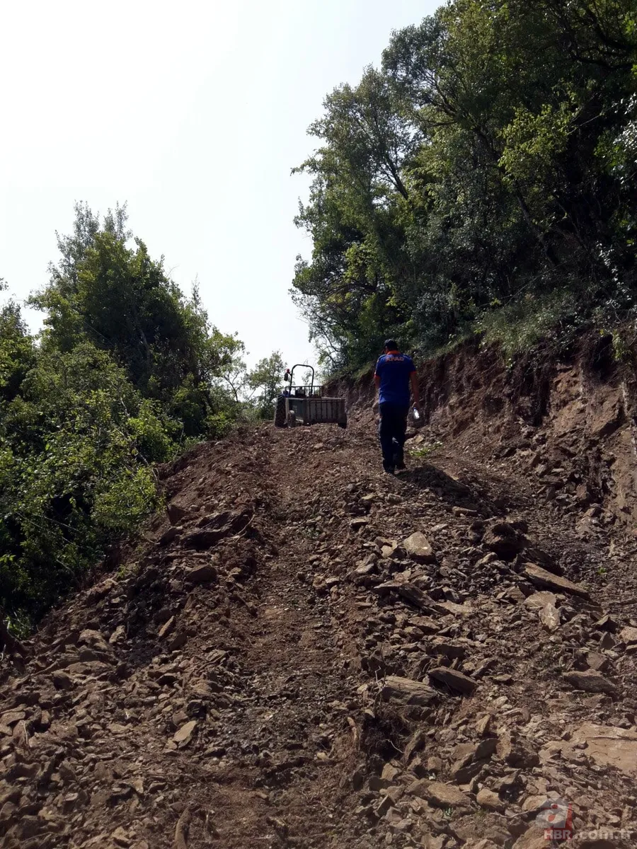 Ormanda doğum yapan inek 3 gün sonra kurtarıldı 1