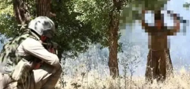 Son dakika: PKK’da çözülme sürüyor! 2 terörist teslim oldu