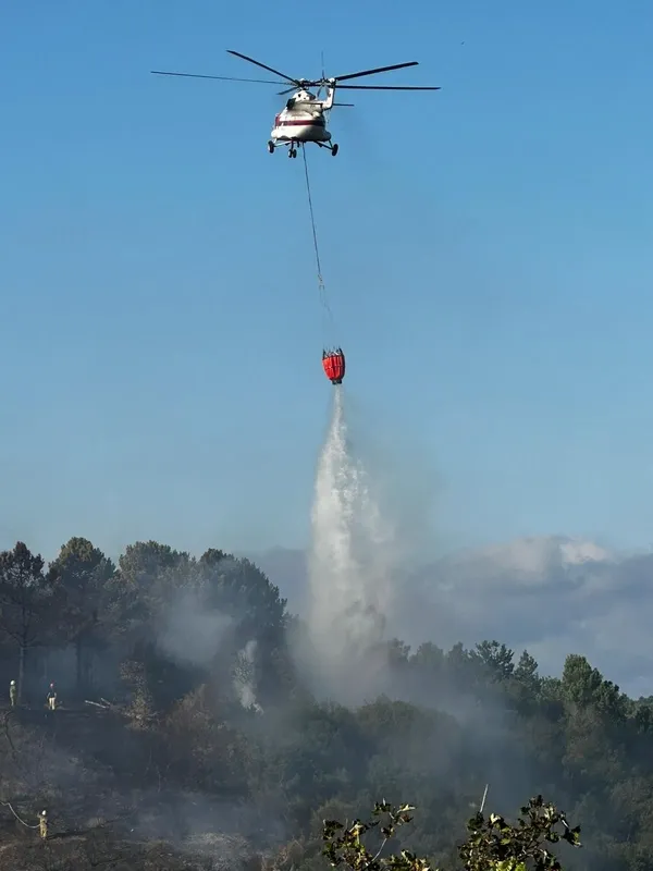 İstanbul Sultangazi’deki orman yangını kontrol altına alındı: Yaklaşık 10 dönüm alan kül oldu