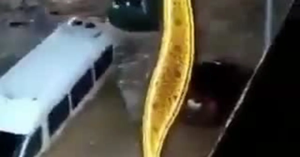 Giresun'da sel önüne çıkar her şeyi sildi süpürdü!