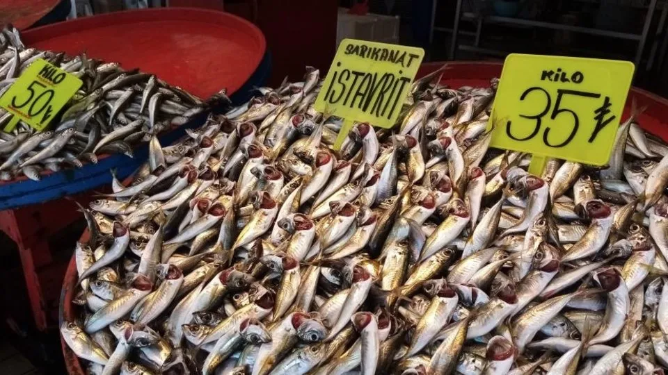Balık tezgahları doldu taştı! Bandırma halinde fiyatlar düştü