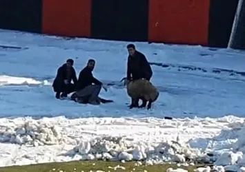 Maç oynandığı esnada kale arkasında kurban kestiler! Görüntüler Türkiye'den