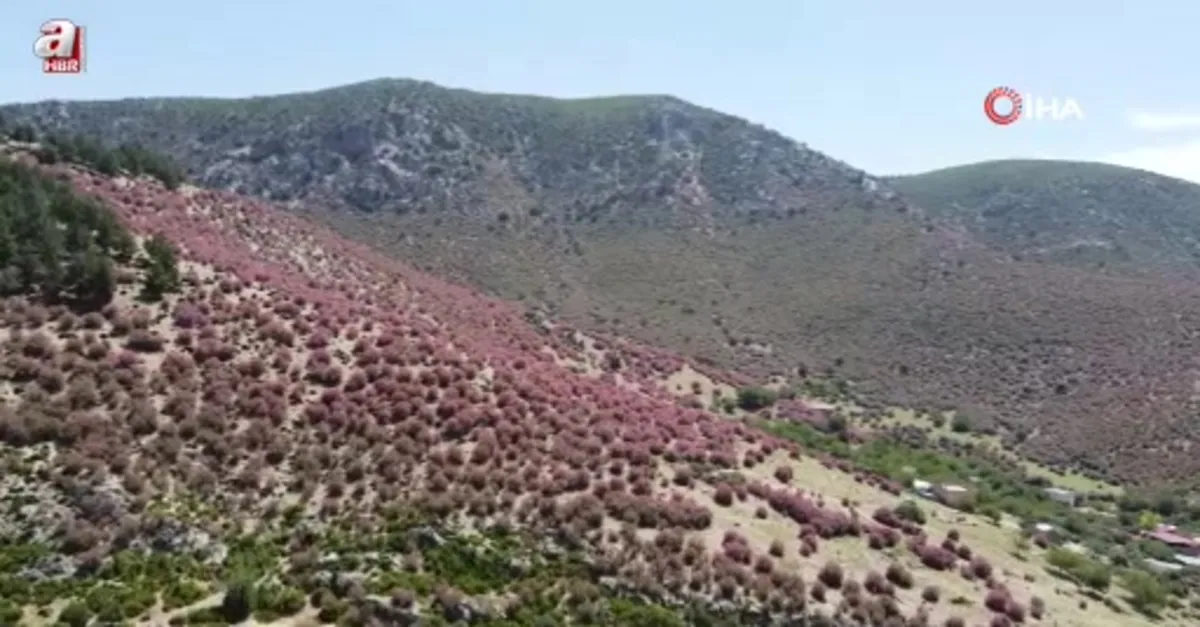 Dağ yamaçlarında tablo gibi görsel şölen
