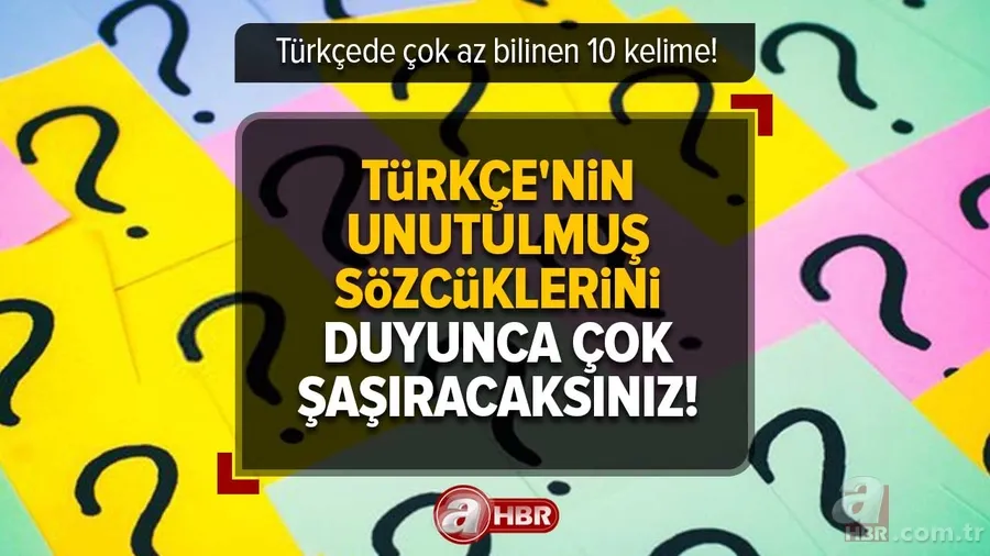 Türkçede çok az bilinen 10 kelime! Türkçe'nin unutulmuş sözcüklerini duyunca çok şaşıracaksınız! 1