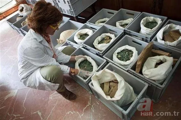 1. Kılıçarslan kimdir | Anadolu Selçuklu Devleti dönemine ışık tutan olay! Mezarı o ilimizde bulundu 141