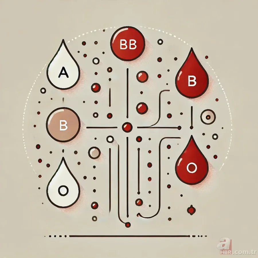 0, A, B ve AB kan grubuna göre nasıl beslenilmeli? Milyonları ilgilendiriyor 1