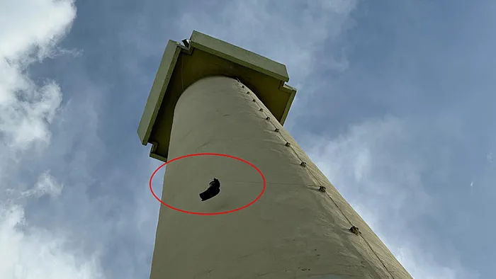 Minarede asılı kalan güvercini itfaiye kurtardı - 3