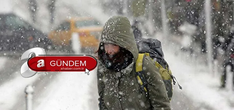 Erzurum ve Van'da yarın okullar tatil mi? 19 Ocak Erzurum ve Van'da okullar tatil olacak mı? Erzurum Valisi Okay Memiş...