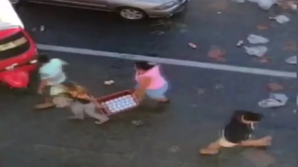 Akıllara durgunluk veren olay! Kaza yapan TIR’ı böyle yağmaladılar