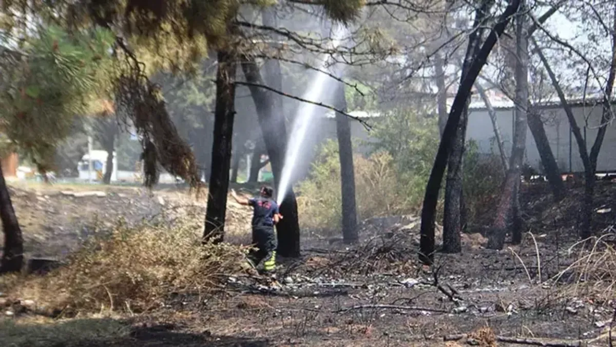 Kocaeli'de yangın; 4 kişi dumandan etkilendi