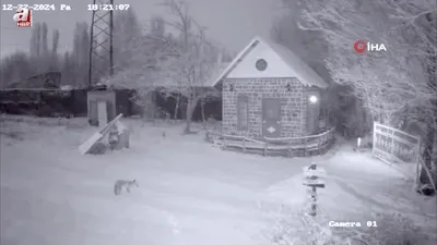 Kümesten tavuğu alıp kaçtı