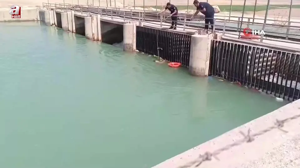 Sulama kanalına düşen köpeği itfaiye ekipleri kurtardı