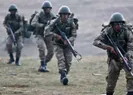 Mehmetçikin yaz temizliği devam ediyor