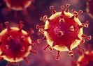 Virüsün mutasyona uğraması ne anlama geliyor?