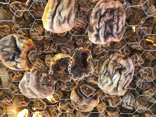 Adana’da eşinin çamaşır ipinde hurma kurutan girişimci tesis kuracak - 1
